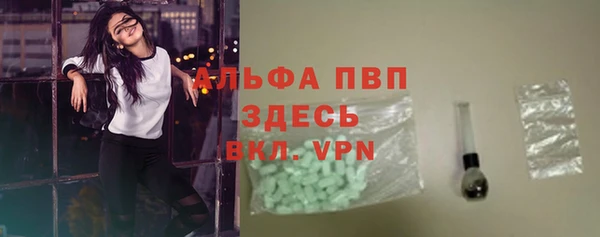 ПСИЛОЦИБИНОВЫЕ ГРИБЫ Няндома