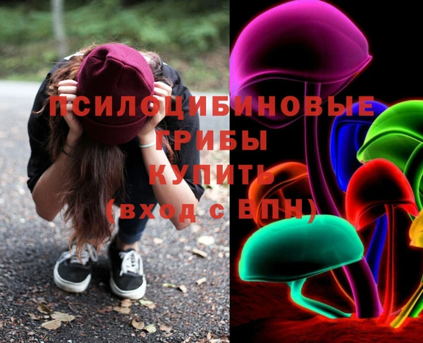 СК Волоколамск