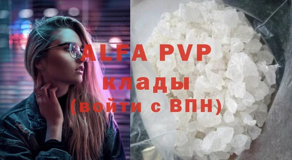 СК Волоколамск