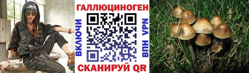 Галлюциногенные грибы Magic Shrooms  Данков 